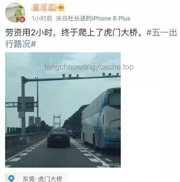 汽车坠桥悲剧的深刻反思：东莞虎门最新通报启示录